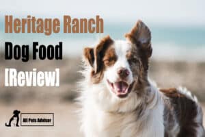 Read more about the article Heritage Ranch Dog Food Review | Buying Guide