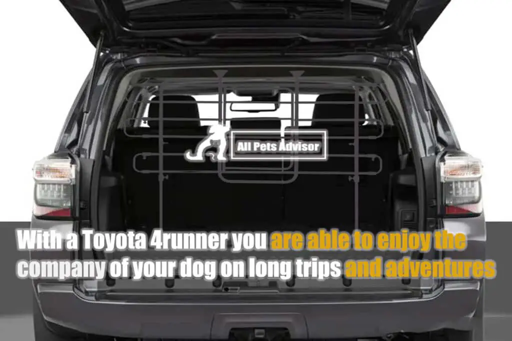 Best Dog Barriers for Toyota 4Runner