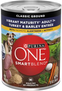 Purina ONE SmartBlend Soft Dog Food for Older Dogs with Bad Teeth