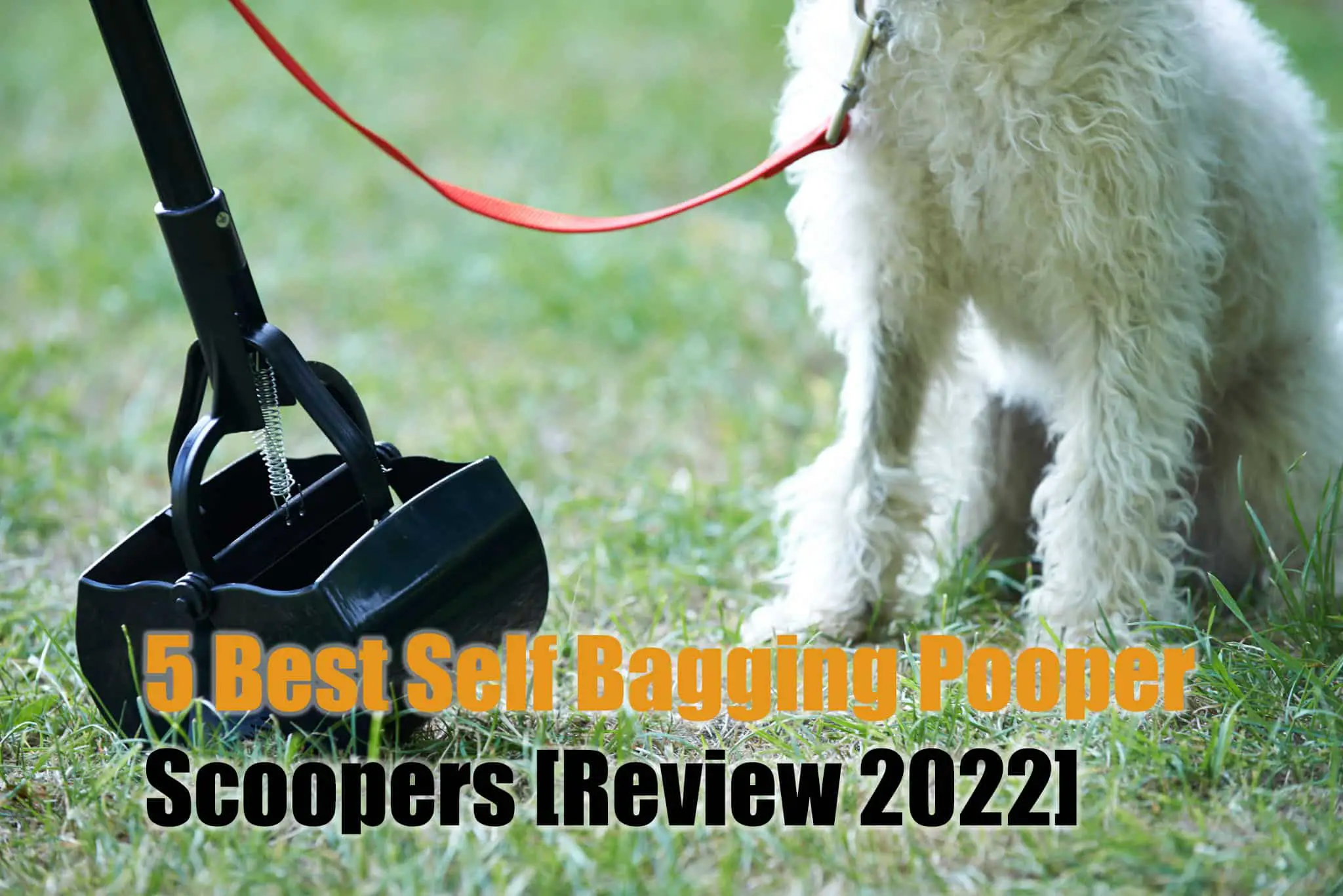 Read more about the article 5 Best Self Bagging Pooper Scoopers [Review 2022]