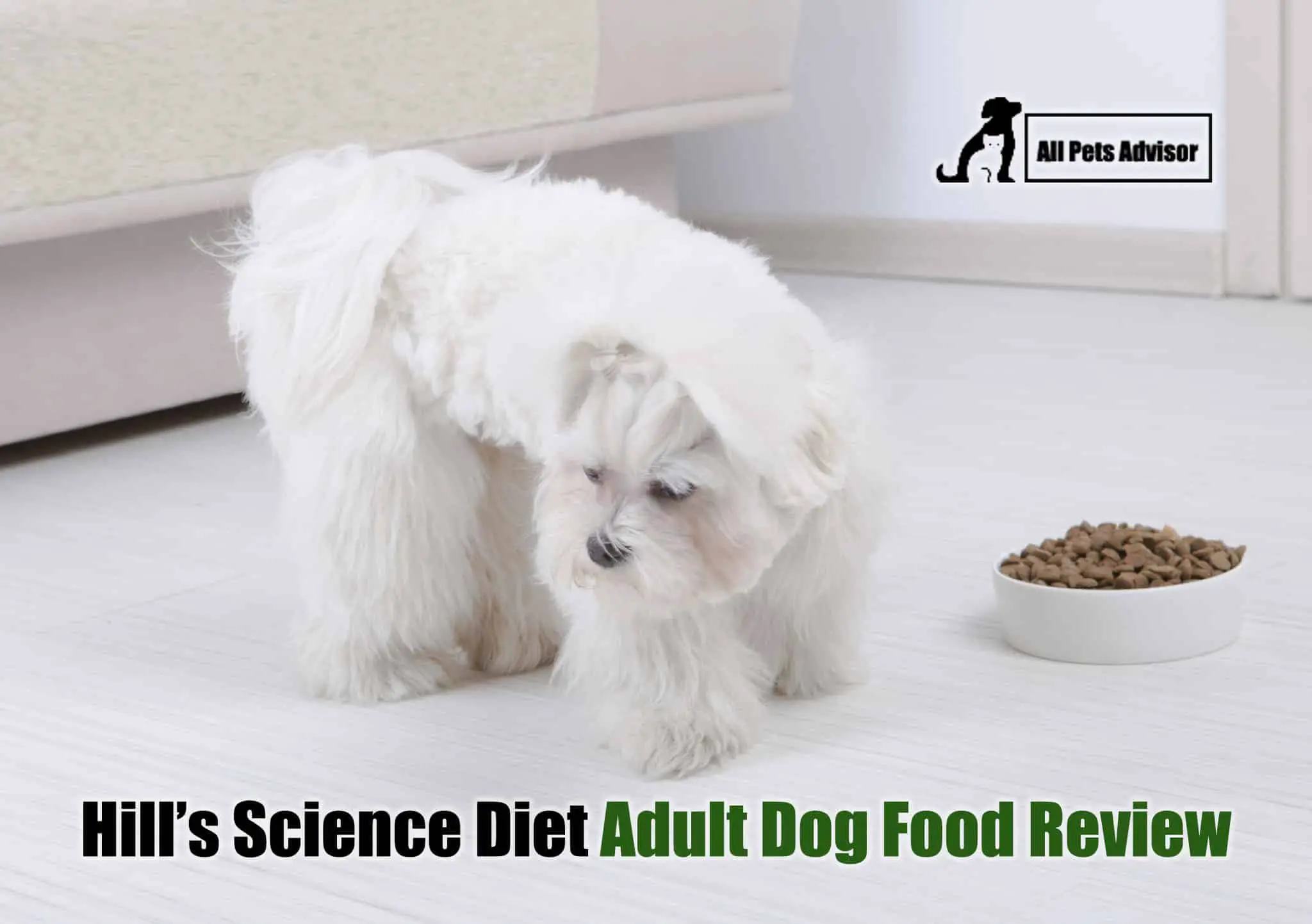 Read more about the article Hill’s Science Diet Adult Dog Food Reviews [2022]