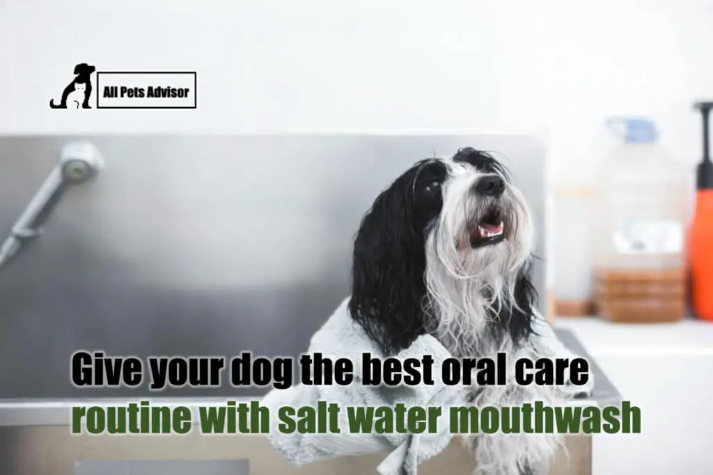 Homemade Dog Water Additive for Bad Breath