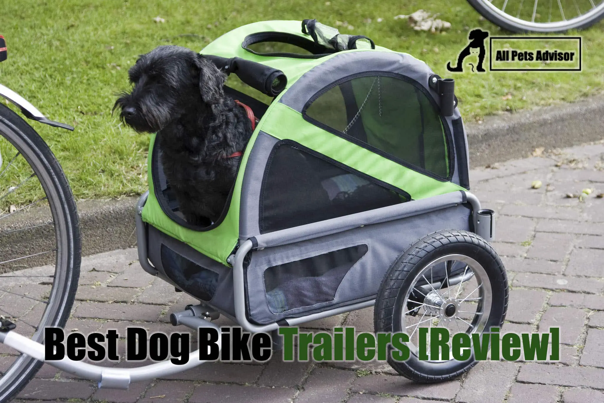 Read more about the article 10 Best Dog Bike Trailers in 2022 [Review]