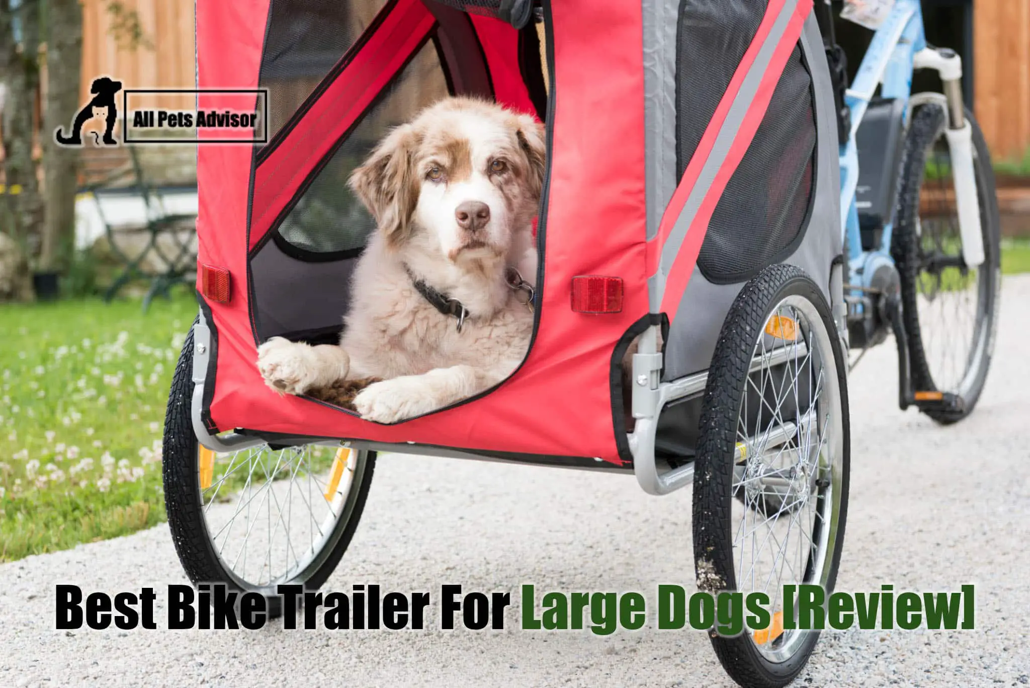 Read more about the article Best Bike Trailer For Large Dogs in 2022 [Review]