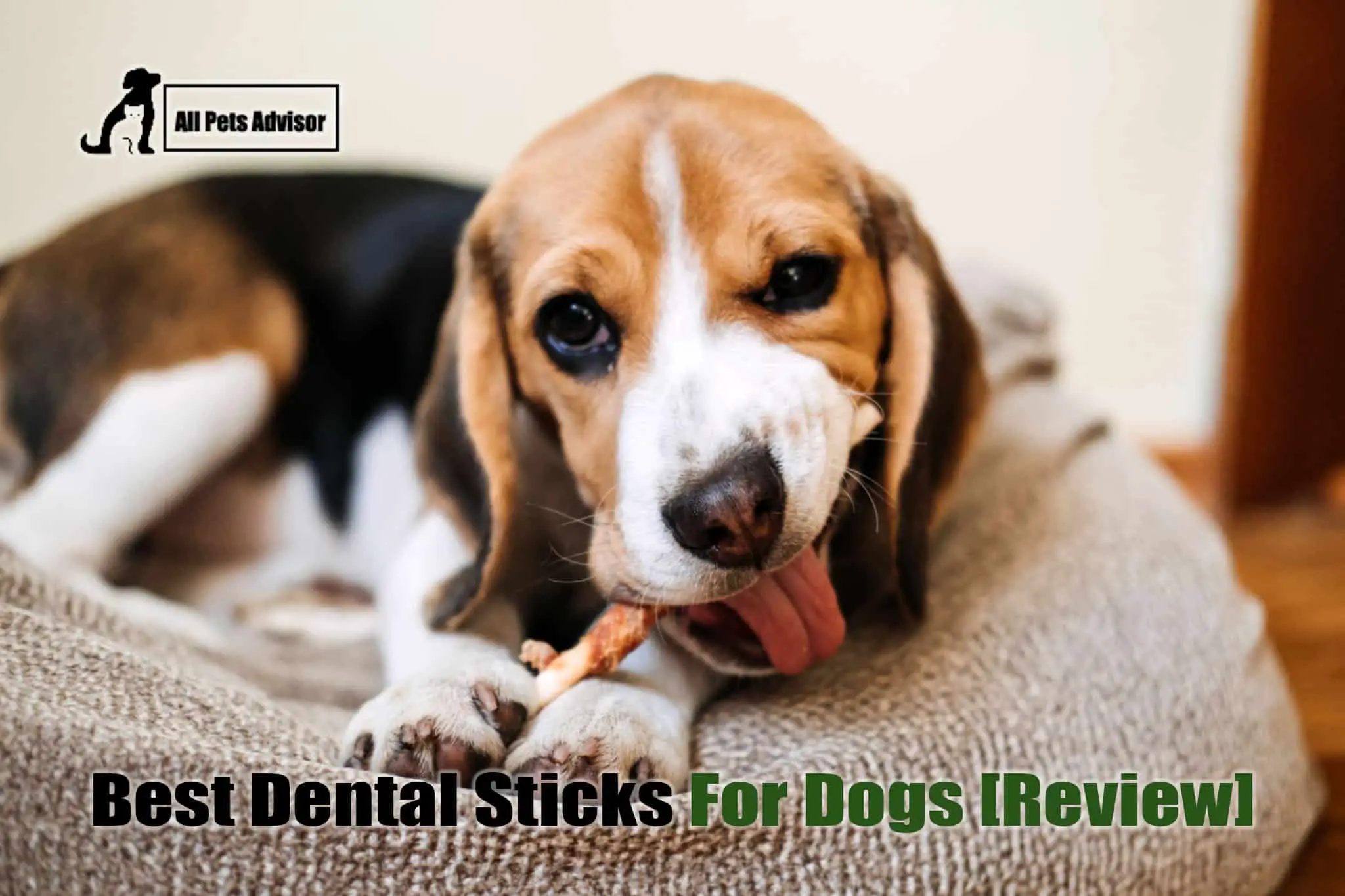 Read more about the article 8 Best Dental Sticks For Dogs In 2022